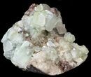 Lustrous Green Apophyllite Crystals with Stilbite - India #44359-1
